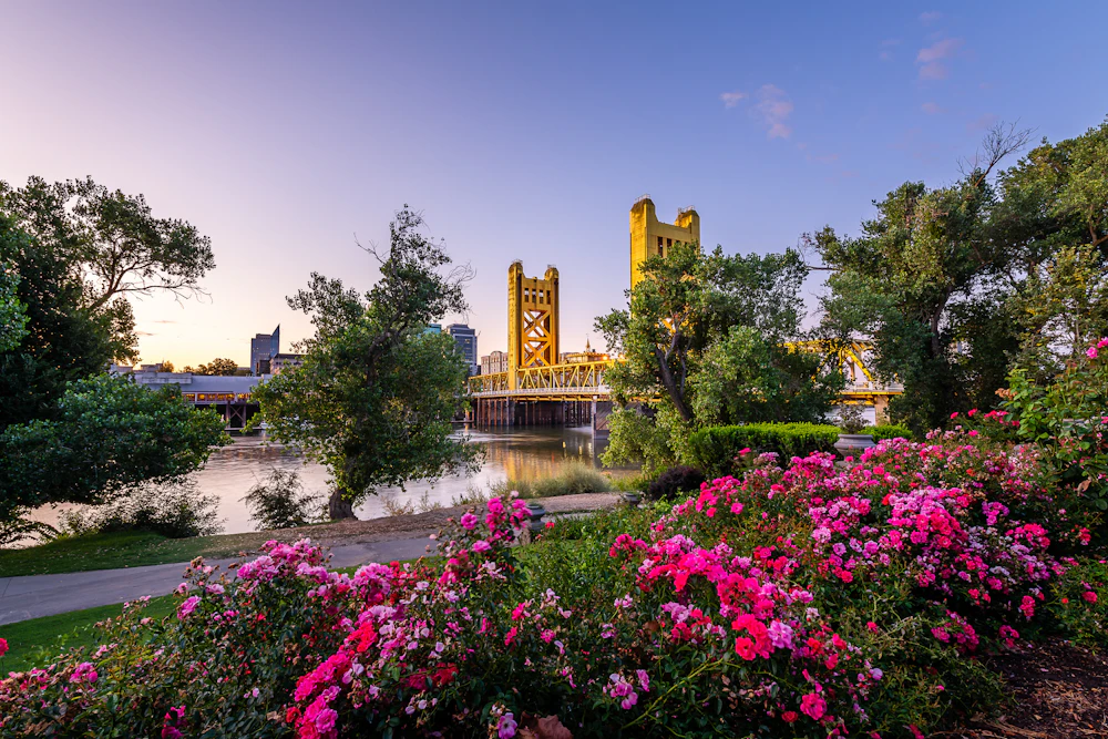 Connect with ProTrustee at ITA & PFAC | May 2026 Conferences